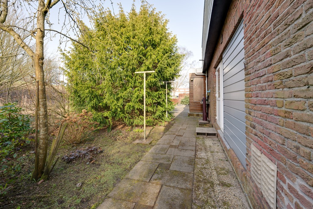 31-Moerasvaren 54 Purmerend.jpg